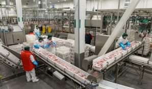 В Калужской области завершен большой инвестпроект – модернизация птицефабрики