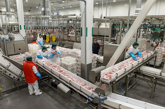 В Калужской области завершен большой инвестпроект – модернизация птицефабрики