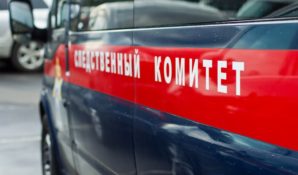 СК: распространяемые СМИ сведения об обстоятельствах смерти девочки в столичном детсаду — дезинформация