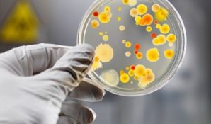 Дошкольное отделение «Дельфиненок» ГБОУ СОШ №492 проходит проверку московского Управления Роспотребнадзора