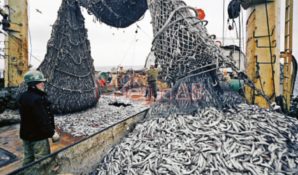 Рыбопромышленники страны обратились с просьбой к Владимиру Путину