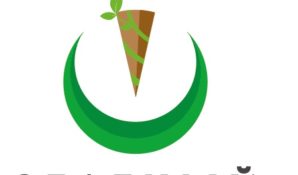 Компании Москвы приглашаются к участию в акции «Зеленый офис»