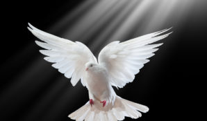 Российский Фонд Мира вновь возглавил депутат Леонид Слуцкий