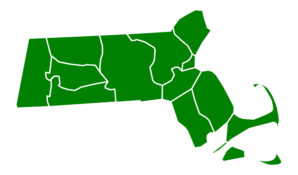 Начал работу сайт «Зелёный кандидат»: любой активист с экологической программой может выдвинуться на праймериз перед выборами Мэра Москвы