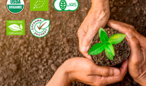 Сергей Бачин рассказал о сути органической сертификации в нашей стране