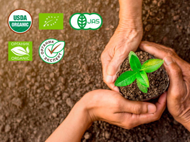 Сергей Бачин рассказал о сути органической сертификации в нашей стране