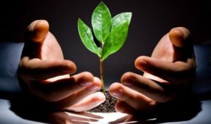 В Новой Москве началась реализация программы помощи одиноким пенсионерам