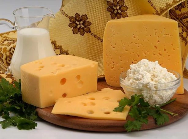 В ярославской области создали кластер производителей сырной продукции – Сергей Бачин