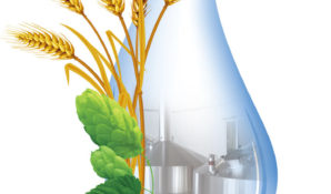 Поднимись на вершину пивоварения вместе с новосибирской «Балтикой»