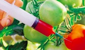 Экообман, или мифы о здоровых продуктах – Сергей Бачин