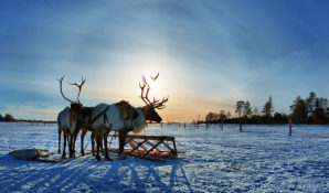 Стали известны регионы, в которых живут наиболее обеспеченные семьи России