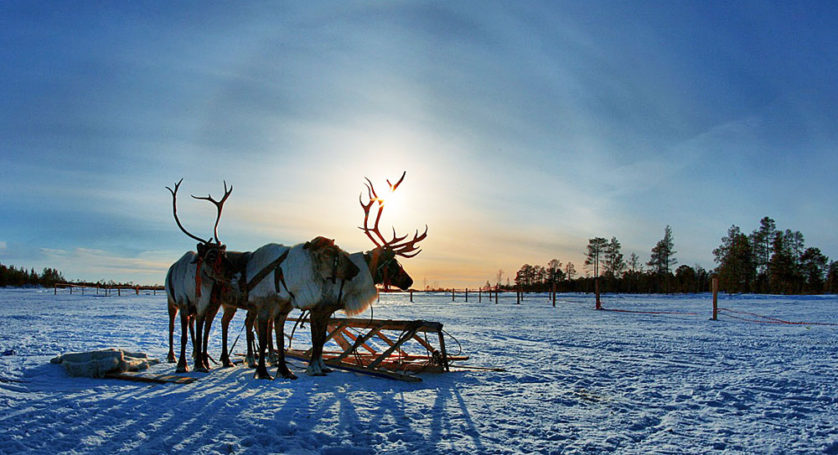 Стали известны регионы, в которых живут наиболее обеспеченные семьи России
