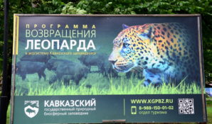 Виктор Тепляков ожидает результат от проекта «Тропою леопарда»