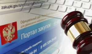 Жена скандального Жигарева намерена участвовать в торгах на сумму более 100 млн.