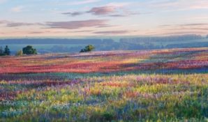 Бизнес и жителей Удмуртии спросят, как улучшить экологическую обстановку в регионе