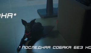 Спонсором социального ролика DaDobro стала курьерская компания «Фокс-Экспресс»