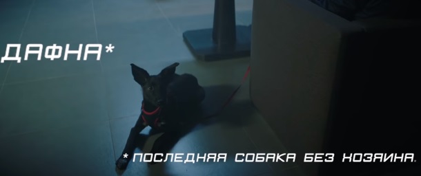 Спонсором социального ролика DaDobro стала курьерская компания «Фокс-Экспресс»