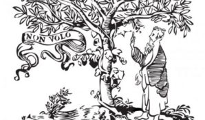 Elsevier предоставил российскому научному сообществу базу данных Scopus