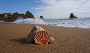 Туроператор «Лузитана Сол»: Туры в Португалию 2018-2019