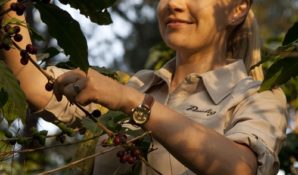 Paulig раскрывает кофейные секреты