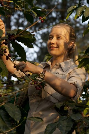 Paulig раскрывает кофейные секреты