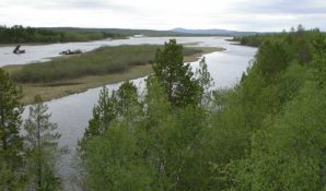 Российские и норвежские экологи встретились в Пасвике
