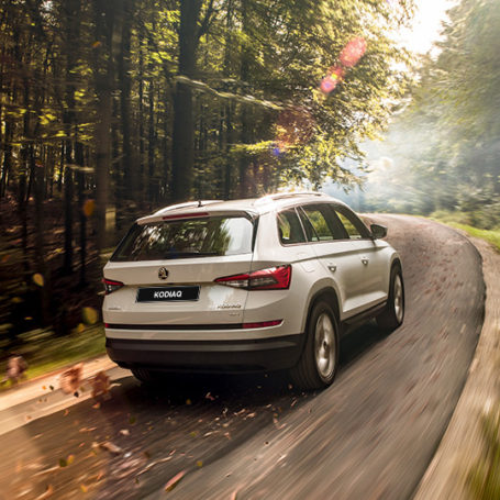 Партнером квеста «Дорога приключений» выступил дилер ŠKODA Сигма Сервис