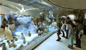 Наталья Сергунина ждет роста посещаемости столичных музеев в новогодние каникулы