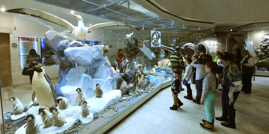 Наталья Сергунина ждет роста посещаемости столичных музеев в новогодние каникулы