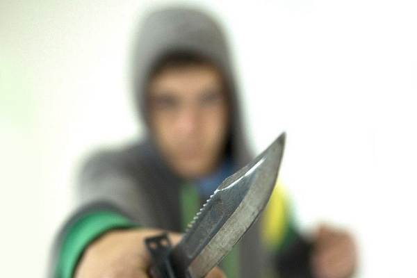 Действия педагогов и охраны московской школы смогли предотвратить трагедию