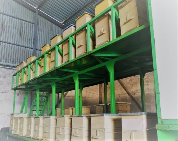 Юрий Лужков рассказал о первом «урожае» меда в Калининградской области