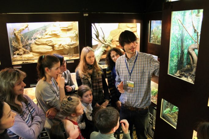 Наибольшей популярностью у участников программы «Музеи — детям» пользуется Дарвиновский музей