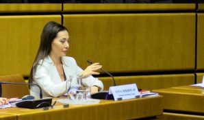 Членство Национального антинаркотического союза (НАС) в ЭКОСОС: возможности и перспективы