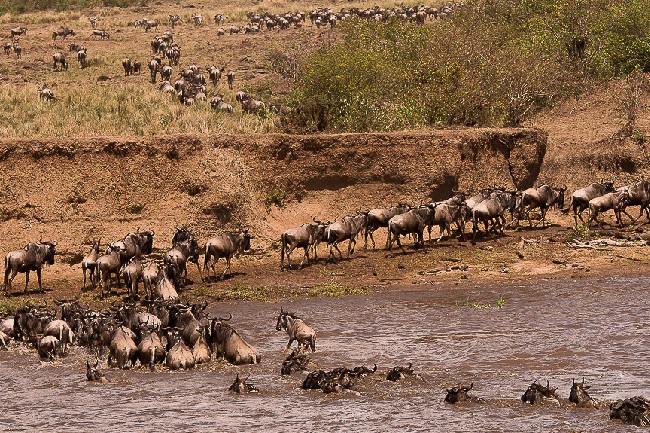 Туры в Кению: на любой вкус и кошелек