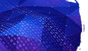 Технологическим партнером МЦФ-2019 выступила Группа компаний «2050.digital»