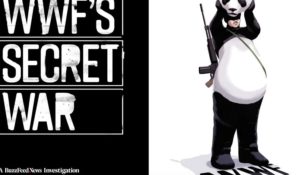 Всемирный фонд дикой природы обвинили в организации убийств и пыток