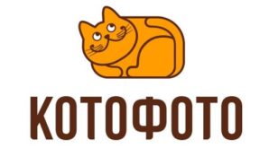 Онлайн-шоппинг от КотоФото в праздники