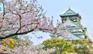 В Год Японии в России 2 россиянина смогут посетить эту страну бесплатно