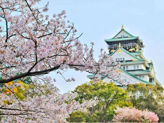 В Год Японии в России 2 россиянина смогут посетить эту страну бесплатно