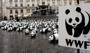 Представители коренных народов Севера просят защитить их от Всемирного фонда охраны дикой природы