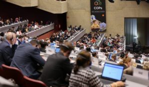 Заседание сторон Роттердамской конвенции завершилось в пользу хризотил-асбеста