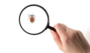 Происки конкурентов в адрес препарата Анаферон