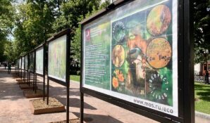 На Гоголевском бульваре открылась фотовыставка «Природа Москвы – Территория для всех»