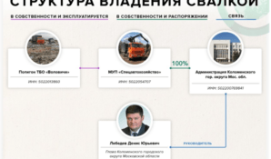 Следком вызовет на допрос Дмитрия Гудкова по делу о семейном «свалочном бизнесе» в Подмосковье