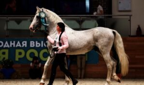 Эта осень будет конной!