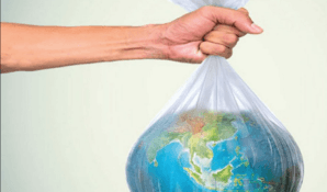 В саду им. Баумана пройдет Ecoweekend