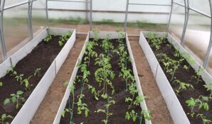 Огород на даче: строим грядки из плоского шифера