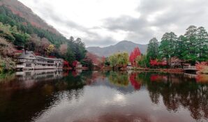 Найти акционное предложение для путешествий стремятся пользователи «Биглиона»