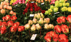 Об особенностях сервиса доставки цветов в России рассказали эксперты Flora Express и CloudPayments