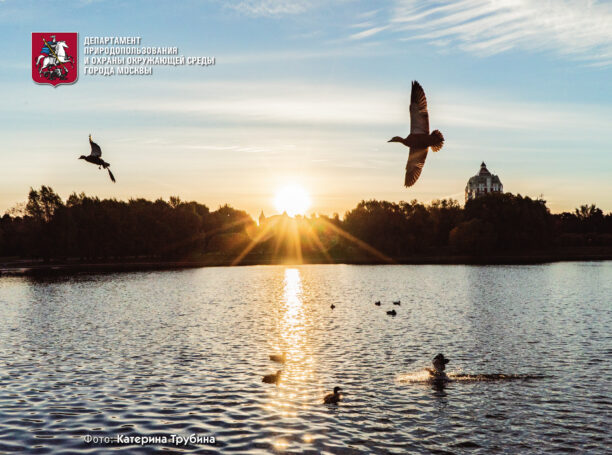 Экологическая выставка Департамента природопользования и охраны окружающей среды города Москвы